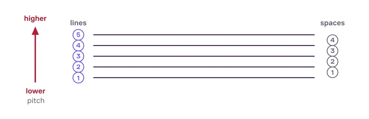 A five-line musical staff with its five lines and four spaces labeled, and arrows showing that higher on the staff means higher pitch.