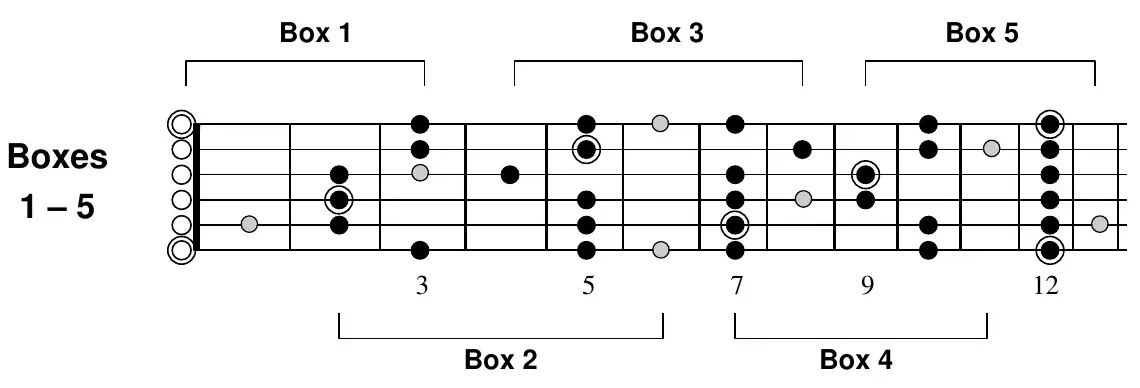 E blues scale, all five boxes interconnected across the neck