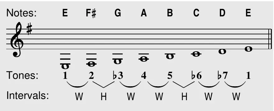 E natural minor scale on the staff: notes E F♯ G A B C D E, scale tones and intervals