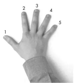 Diagram: finger numbers 1 to 5 labeled on the right hand