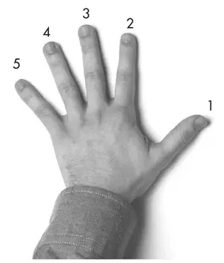 Diagram: finger numbers 1 to 5 labeled on the left hand