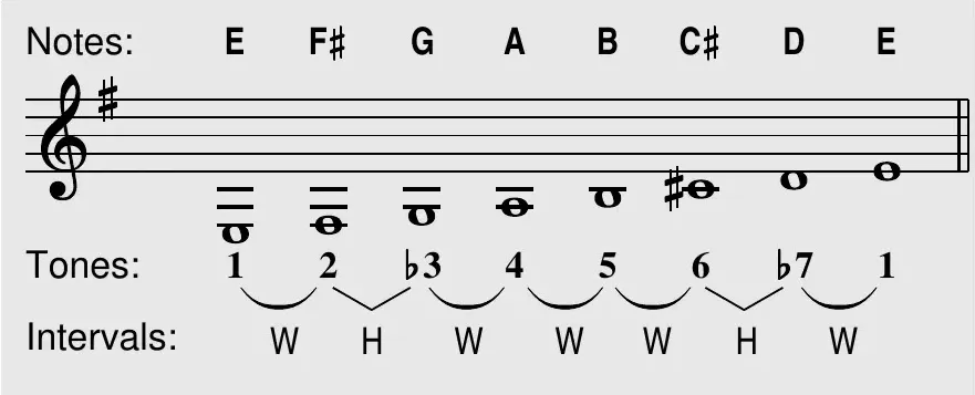 E Dorian notes, tones, and intervals shown on the staff