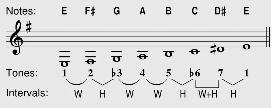 E harmonic minor notes, tones, and intervals on the treble staff (E F♯ G A B C D♯ E)