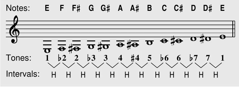 Chromatic scale theory box: staff notation with note names E F F♯ G G♯ A A♯ B C C♯ D D♯ E, tones numbered 1 ♭2 2 ♭3 3 4 ♯4 5 ♭6 6 ♭7 7 1