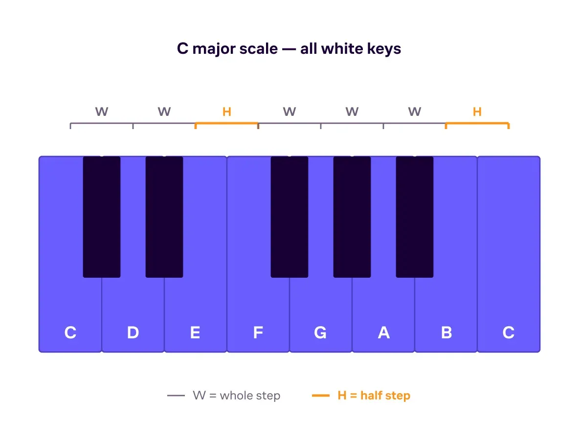 The C major scale on a keyboard octave with the whole- and half-step pattern W–W–H–W–W–W–H marked.