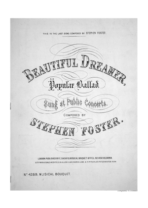 Beautiful Dreamer - Stephen C. Foster 楽譜 シンセサイザー (混合